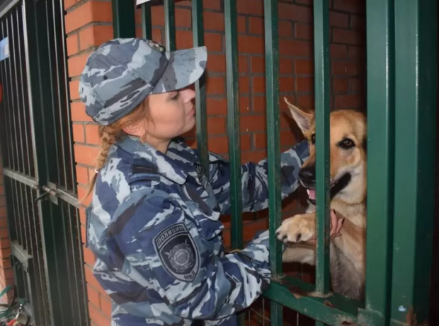 Килограмм сосисок получила служебная собака за поимку вора