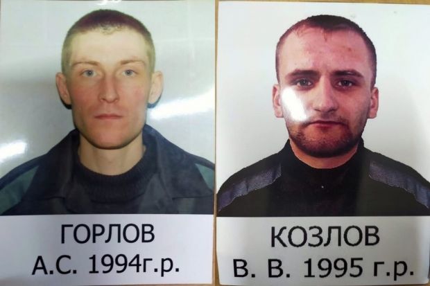 Сбежавшие из колонии преступники обвиняются в серии краж