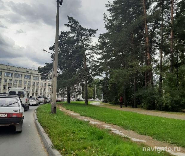 На проспекте Лаврентьева собираются пробки из-за нового режима светофоров