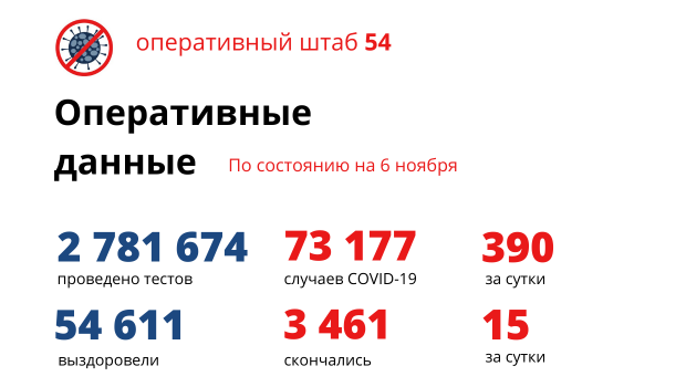 Еще 390 случаев коронавируса выявили за сутки в Новосибирской области