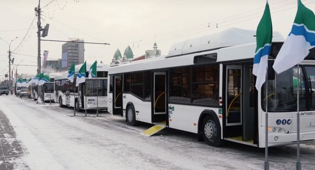 Новосибирск получит еще 100 новых автобусов до конца года