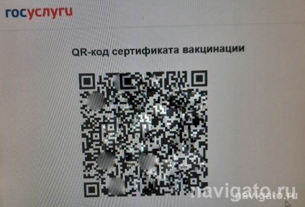Окончательное решение по введению QR-кодов примут не раньше декабря