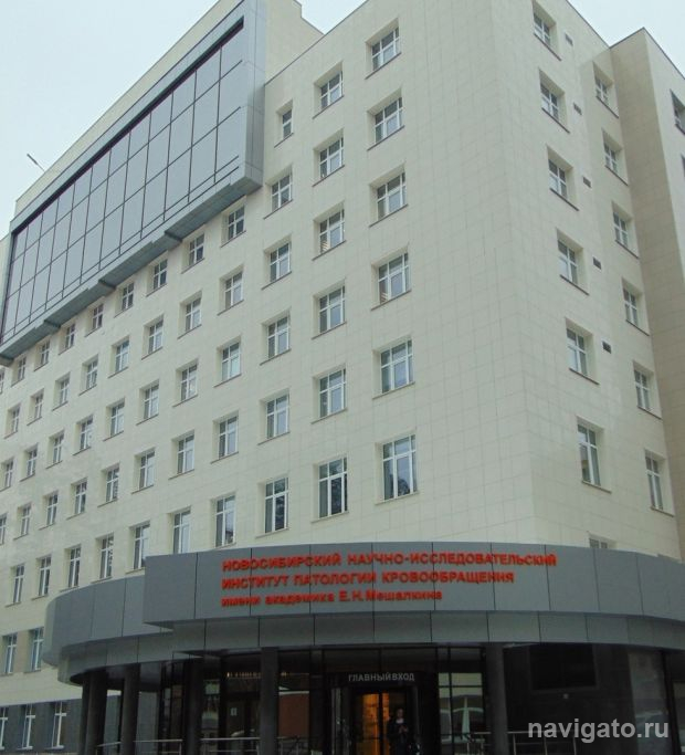 В клинике Мешалкина принимают теперь только пациентов с QR-кодом