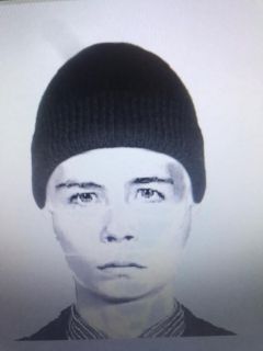 В Новосибирске разыскивают мужчину, напавшего на двух девочек