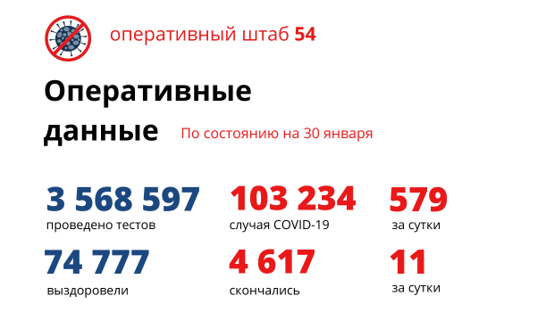 Число заболевших в Новосибирской области резко выросло до 579 случаев за сутки