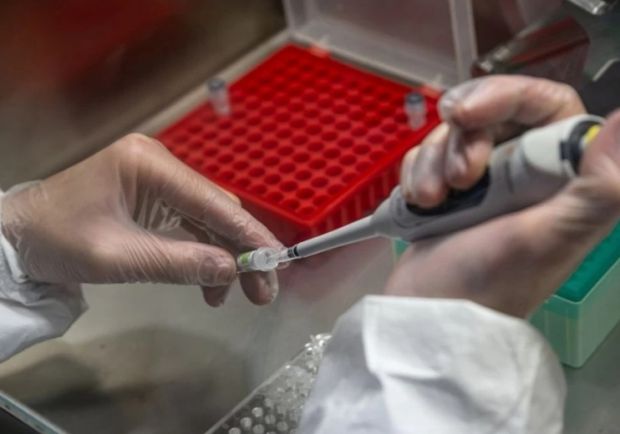 Новое лекарство от ковида изучают сибирские ученые