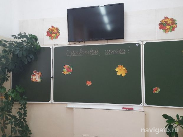 Учителям дадут миллион рублей за переезд в село по программе «Земский учитель»