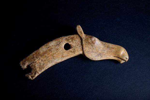 Виртуальная экскурсия расскажет о находках сибирских археологов