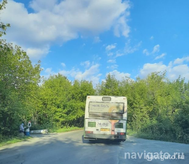 Дачные автобусы начнут ходить уже в эти выходные
