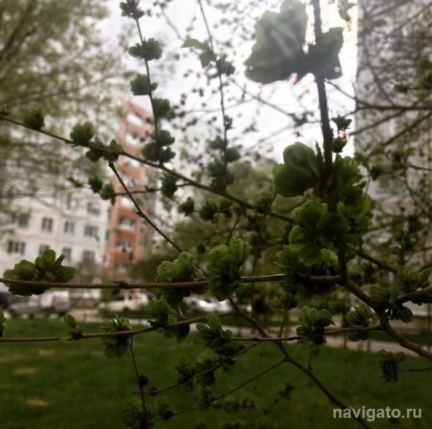 Синоптики дали прогноз погоды на предстоящие выходные