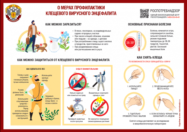 У 93 жителей региона подозревают клещевой энцефалит