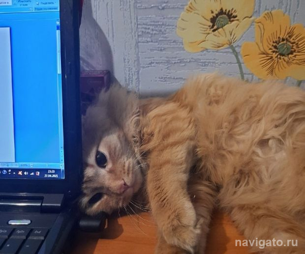 Зачем нужно SEO продвижение