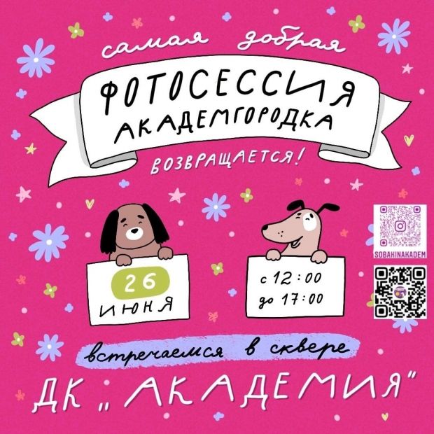 Фотосессия в помощь приюту для бездомных собак пройдет в Академгородке