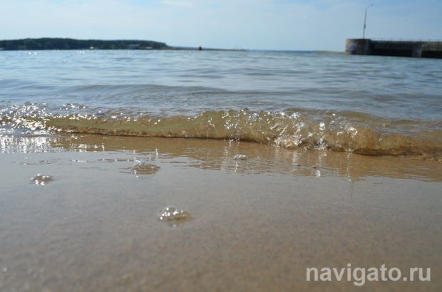 Горожан просят воздержаться от купания в Новосибирском водохранилище