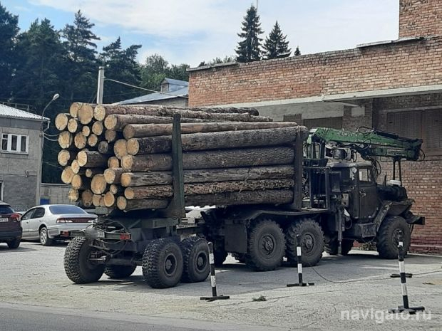 Полиция в Нижней Ельцовке задержала с поличным лесорубов