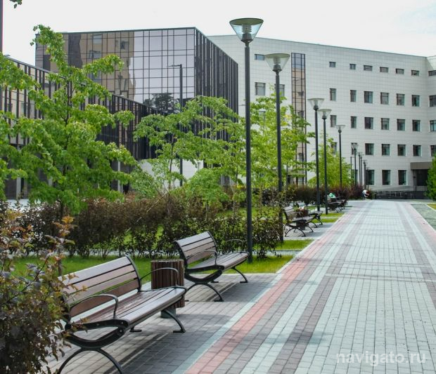 По миллиону рублей получат 19 студенческих проектов НГУ