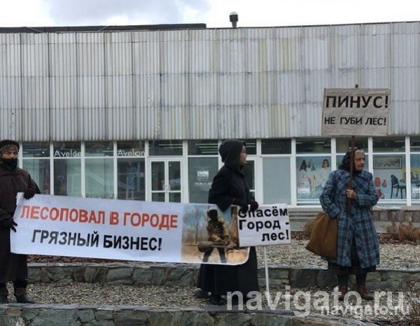 В Академгородке проведут пикеты в защиту лесов