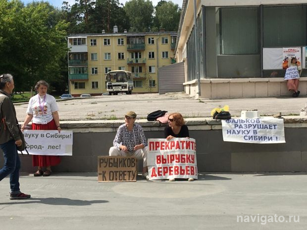 Активисты из Советского района собирают подписи за сохранение лесов