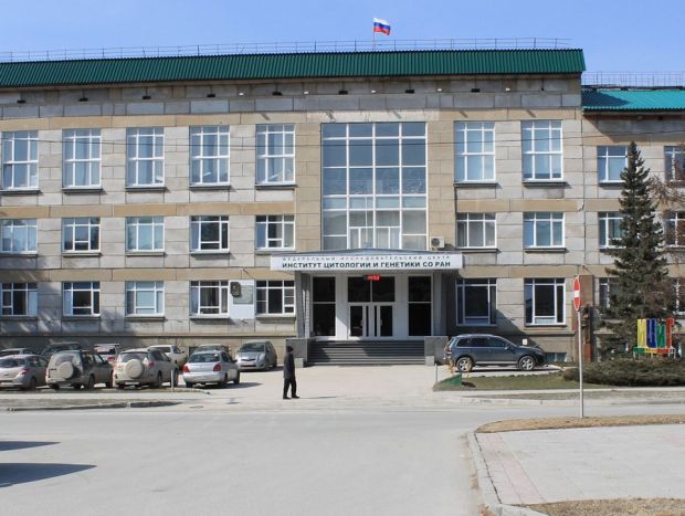 Как избежать потери зрения людям старше 60 лет