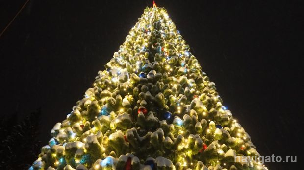 На Новый год в Новосибирск приедут Деды Морозы со всей страны