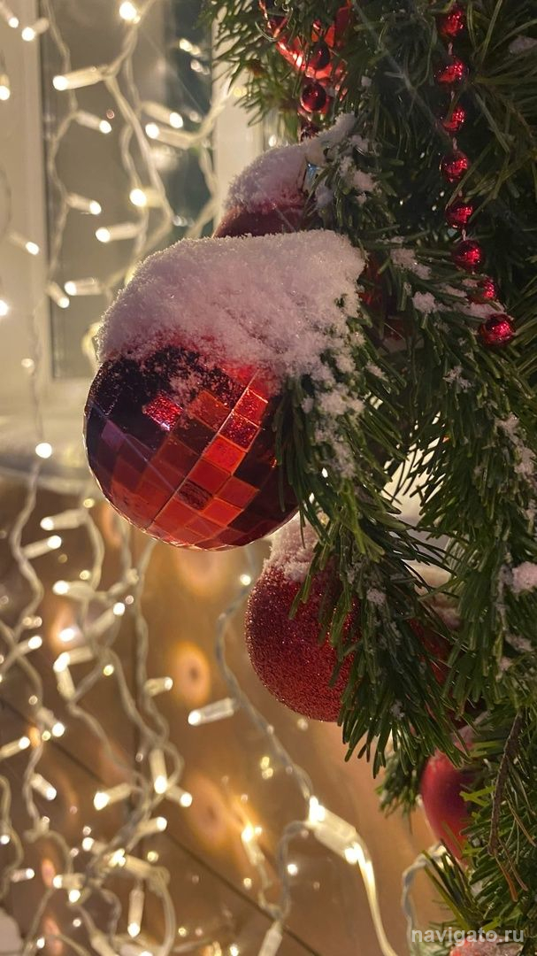 Кого и на каких условиях пустят на утренники в детских садах