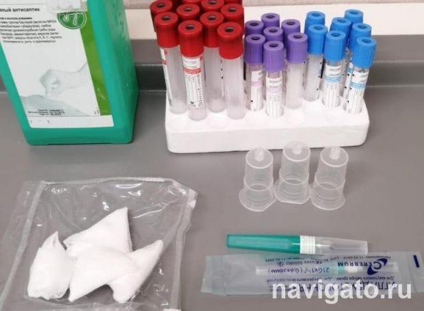 Чем опасны свиной грипп и коронавирус, рассказал вирусолог