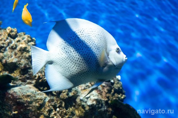 Начался прием работ на девятый фотоконкурс «Самая красивая страна»