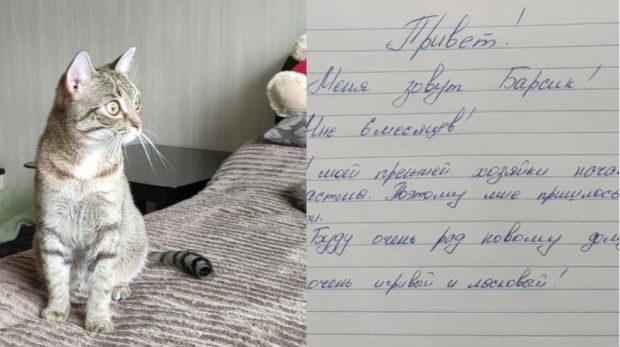 Жительница Советского района забрала брошенного кота по кличке Барсик