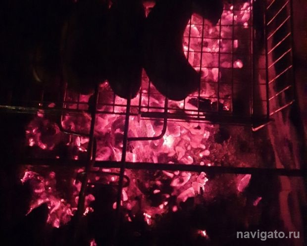 В прокуратуре напомнили правила пожарной безопасности в лесах