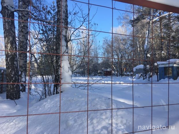 Музыкальную школу в Академгородке должны построить к лету 2025 года