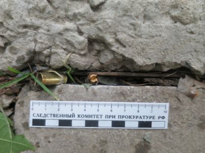 В парке «Звезда» девушку ранили в ногу