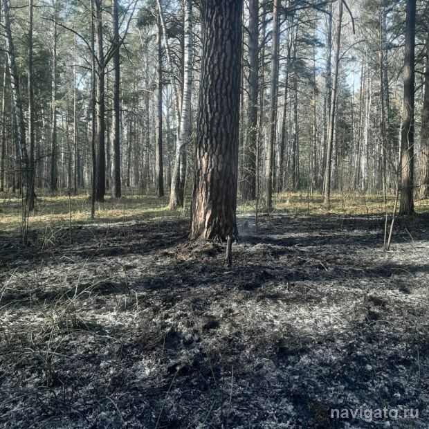 С 17 апреля в регионе установлен пожароопасный сезон