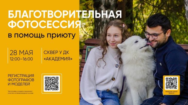 В Академгородке пройдет благотворительная фотосессия в помощь животным