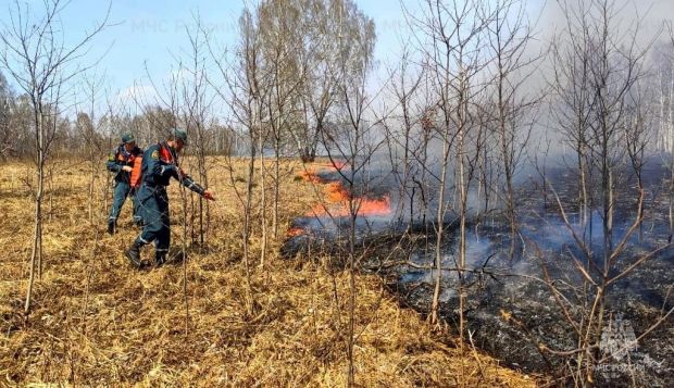 Неизвестные 8 раз за неделю поджигали траву и мусор в Советском районе
