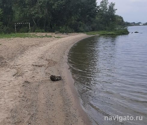 В Берди утонула 10-летняя девочка
