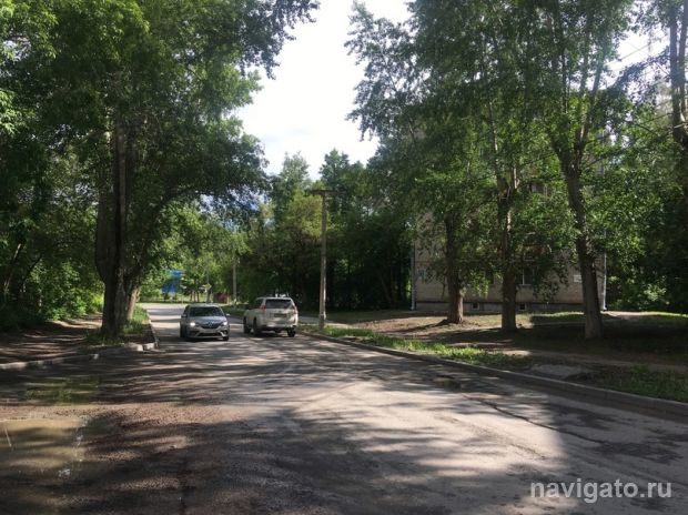Летний «снег» накрывает Новосибирск