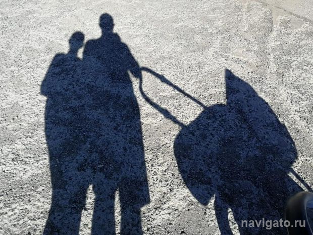 Как в Советском районе отметят День семьи, любви и верности