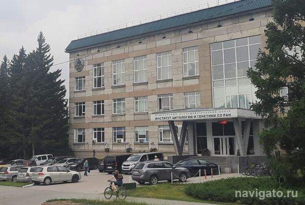 Как генетические мутации влияют на сердечно-сосудистые заболевания