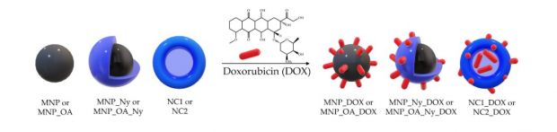 Новосибирские учёные создали нанокапсулы для лечения рака