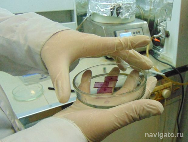 В Академгородке состоится Фестиваль научного кино ФАНК