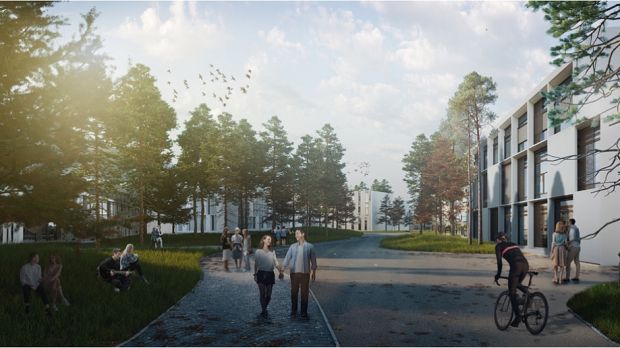 Проект благоустройства будущего кампуса НГУ представят в 2024 году