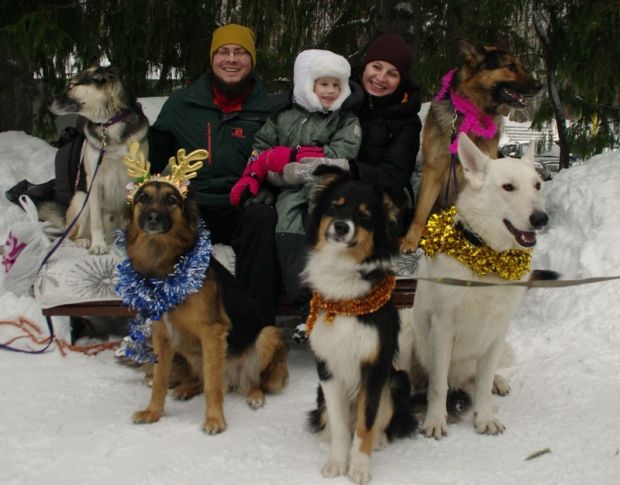 Домашние питомцы заработали для собак из приюта почти 130 тысяч рублей