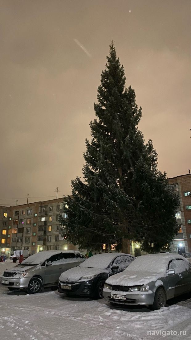 До -34 градусов похолодает в регионе на этой неделе