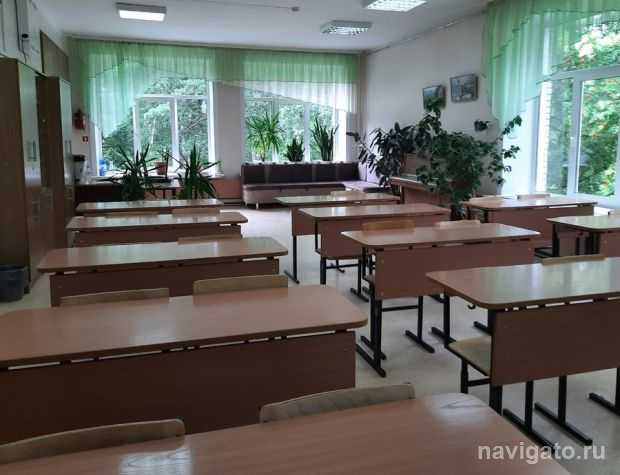 Почти половина выпускников собираются сдавать ЕГЭ по обществознанию