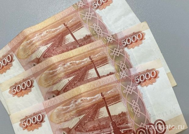 Найдены мошенники, укравшие у сибирского ученого 43 миллиона рублей