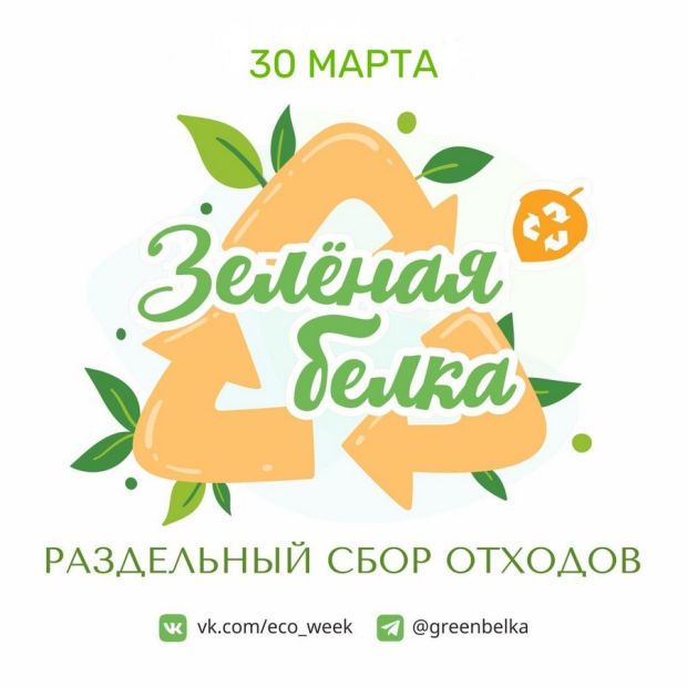 Экоакция «Зеленая белка» пройдёт в Советском районе