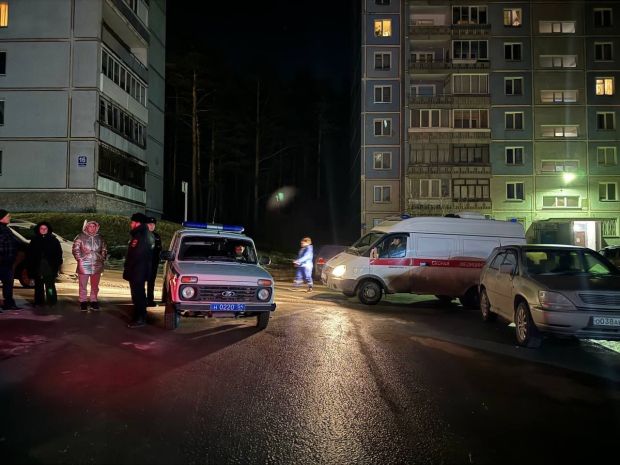 Глава СК РФ взял на контроль расследование дела об избиении в Нижней Ельцовке
