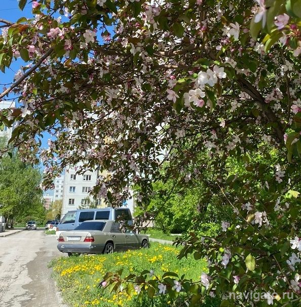Синоптики обещают новосибирцам дождливые выходные