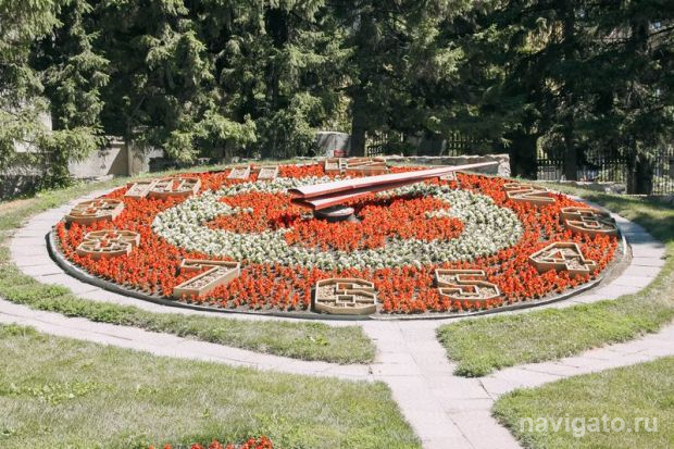 В Новосибирске высадят более 500 тысяч цветов