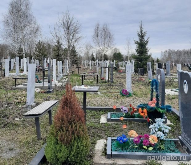 Восемь кладбищ в городе обработали от клещей